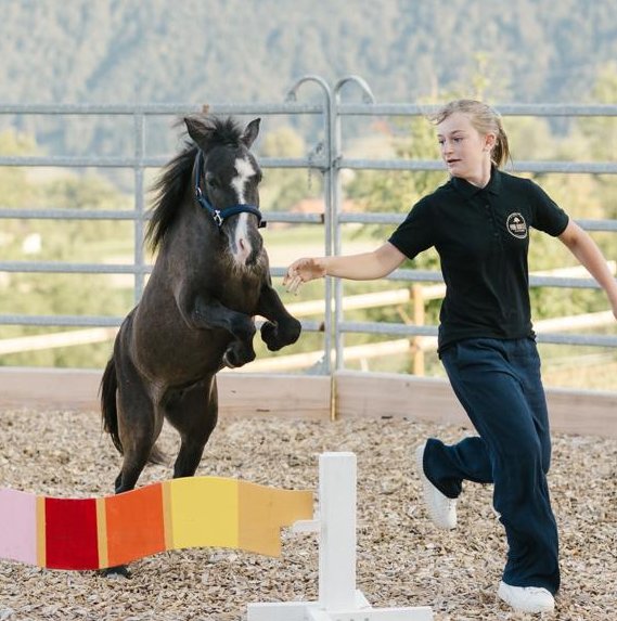 Kind mit Helm reitet auf einem Pony